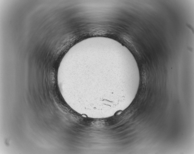 X0000101650362200807311418