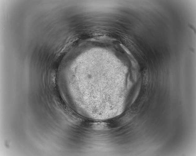X0000101650363200807311418