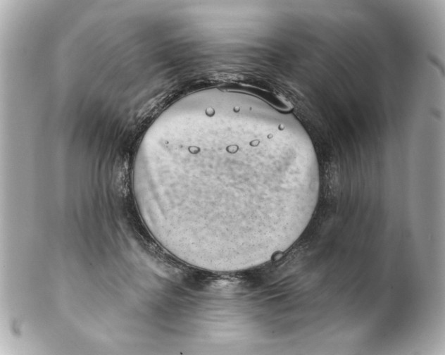 X0000101650364200807311418