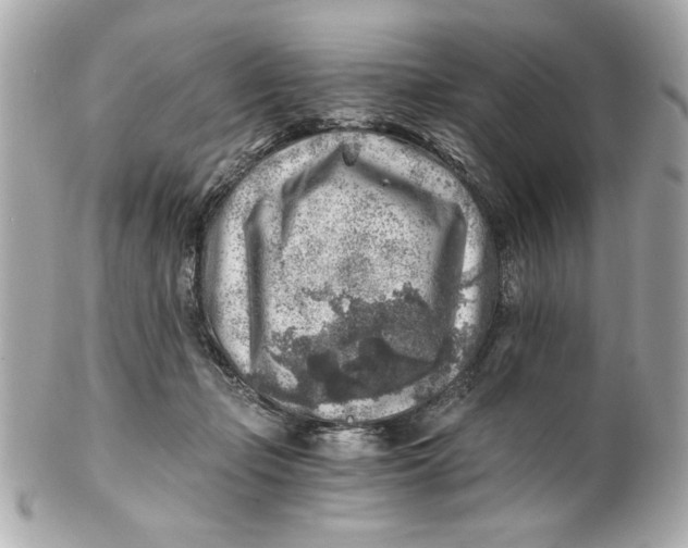 X0000101650365200807311418