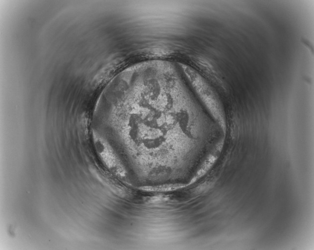X0000101650366200807311418