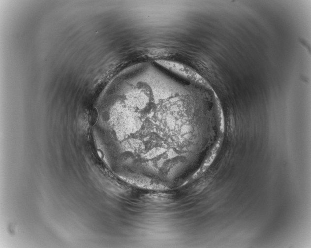 X0000101650367200807311418