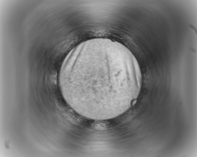 X0000101650368200807311418