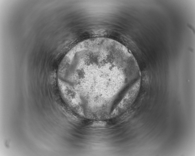 X0000101650369200807311418