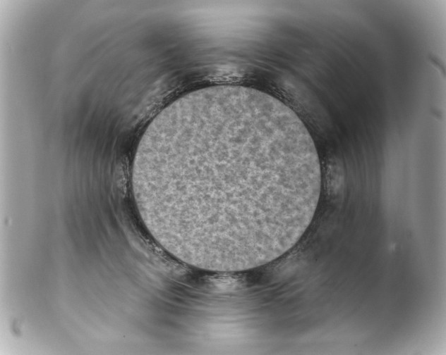 X0000101650370200807311418
