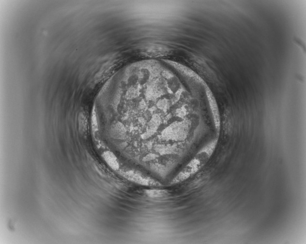 X0000101650371200807311418