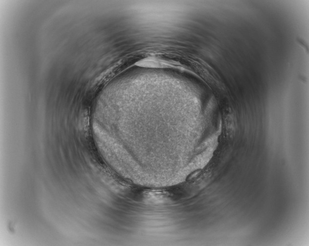 X0000101650372200807311418