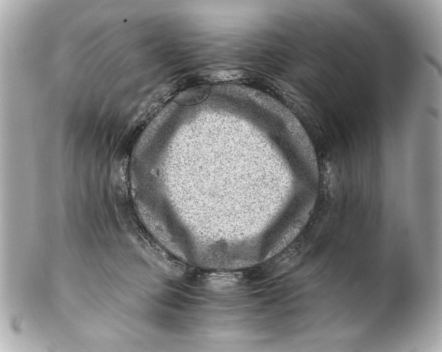 X0000101650373200807311418