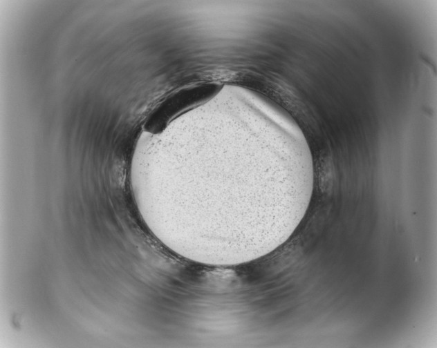 X0000101650374200807311418