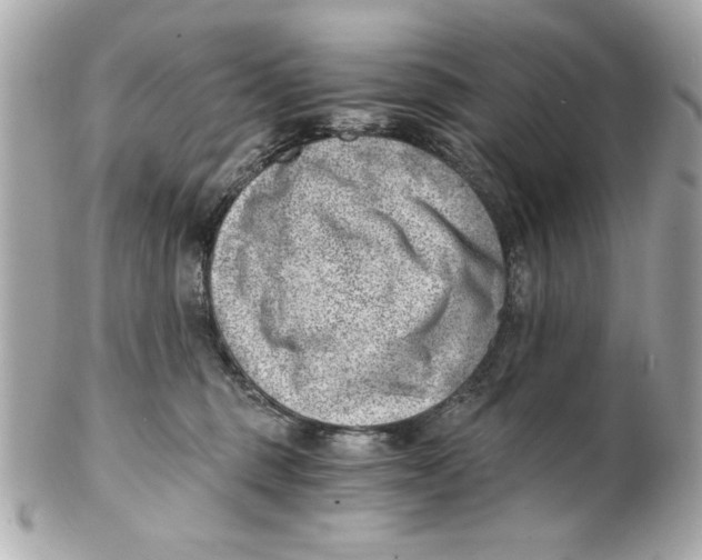 X0000101650375200807311418