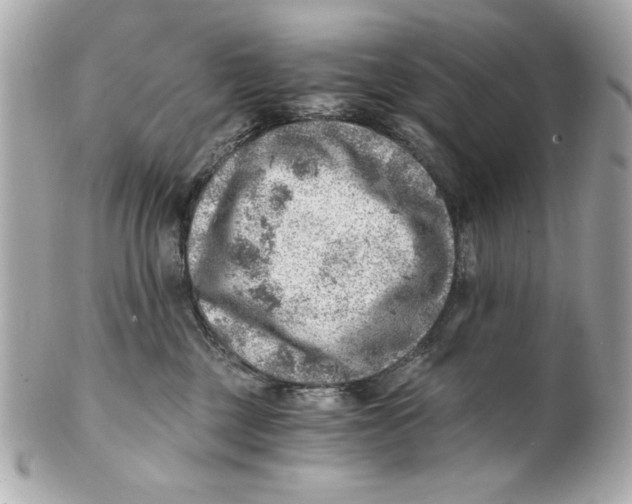 X0000101650377200807311418