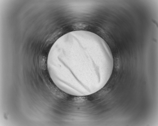 X0000101650378200807311418