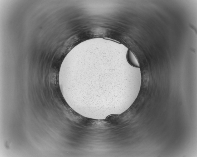 X0000101650379200807311418