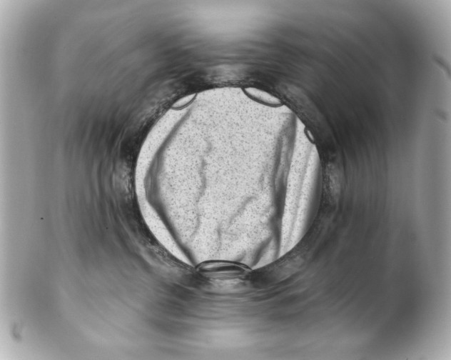 X0000101650380200807311418