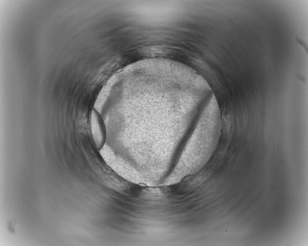 X0000101650381200807311418