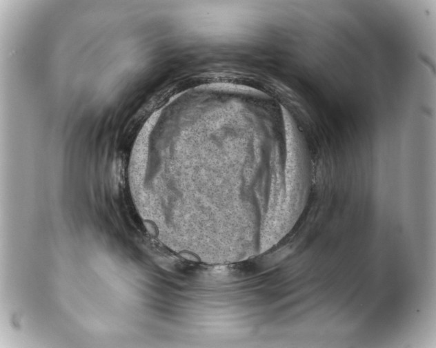 X0000101650382200807311418