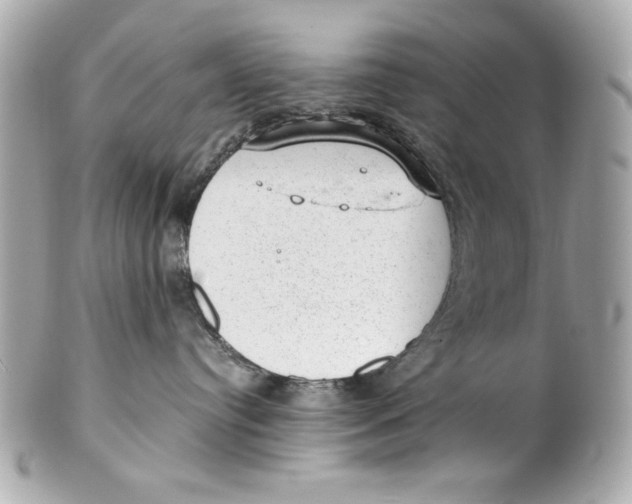 X0000101650384200807311418