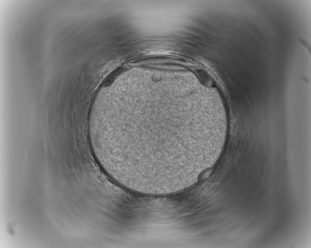X0000101650385200807311418