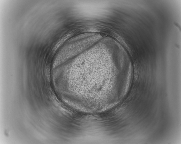 X0000101650386200807311418