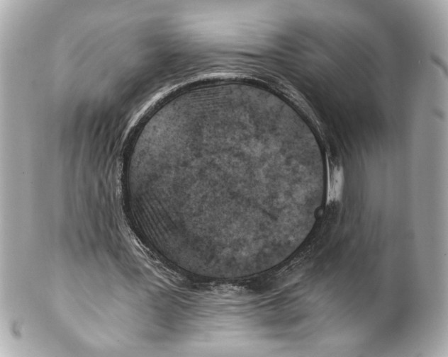 X0000101650387200807311418