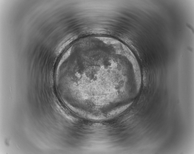 X0000101650390200807311418