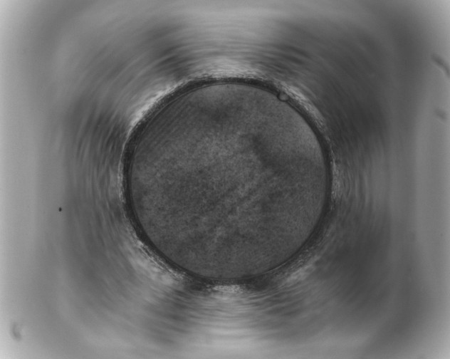 X0000101650391200807311418