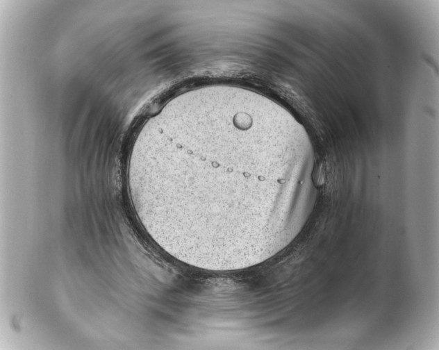 X0000101650392200807311418