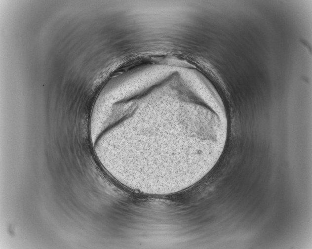 X0000101650393200807311418