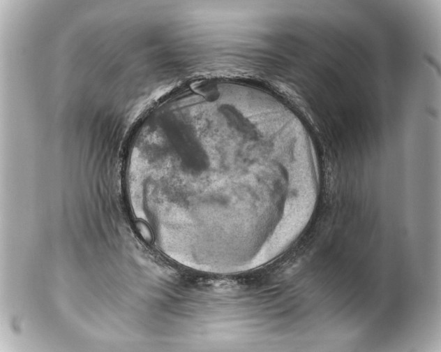 X0000101650395200807311418