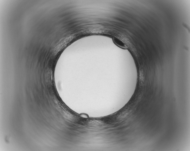 X0000101650397200807311418