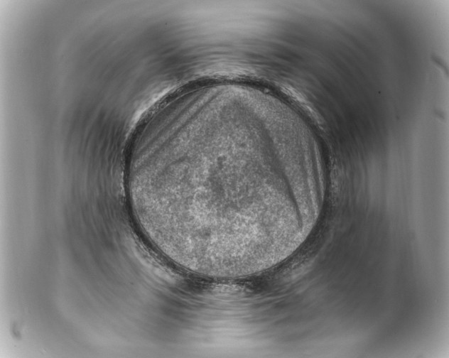 X0000101650399200807311418