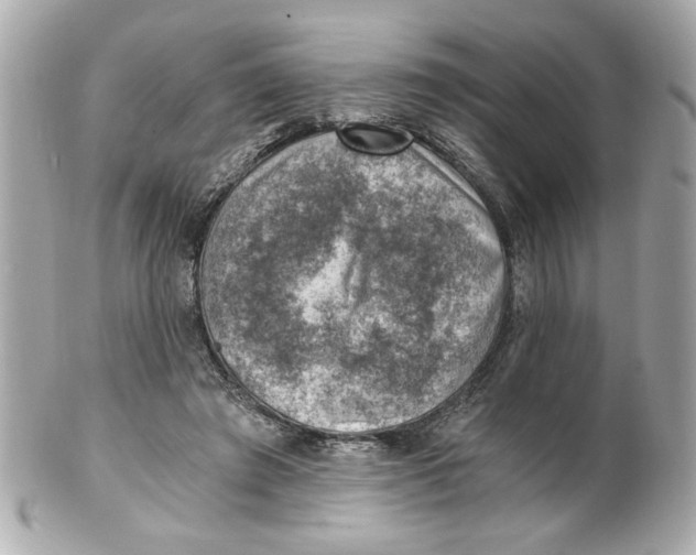 X0000101650401200807311418