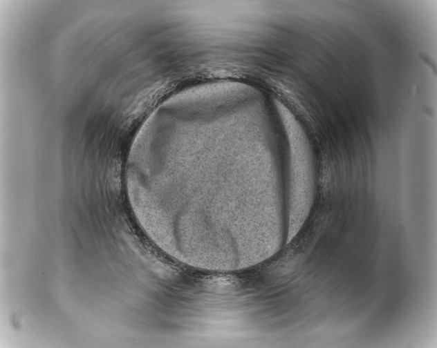 X0000101650402200807311418