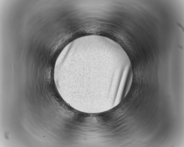 X0000101650404200807311418