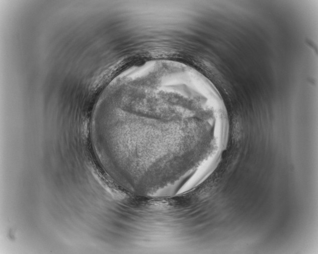 X0000101650405200807311418