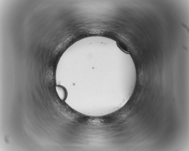 X0000101650407200807311417