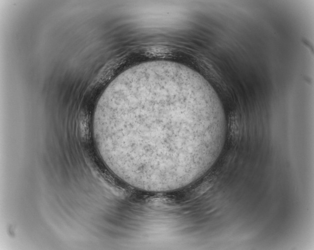 X0000101650408200807311417