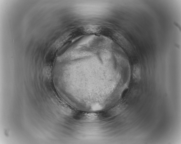 X0000101650409200807311417