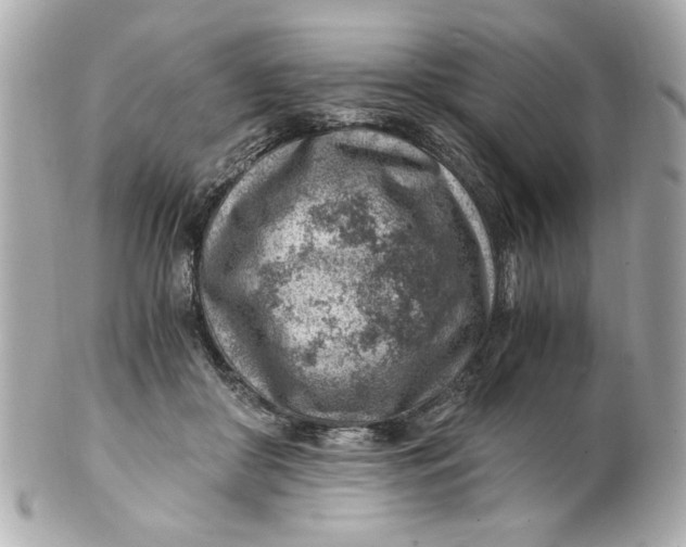 X0000101650410200807311417