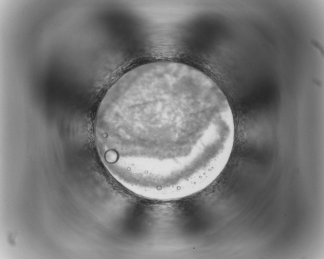 X0000101650411200807311417