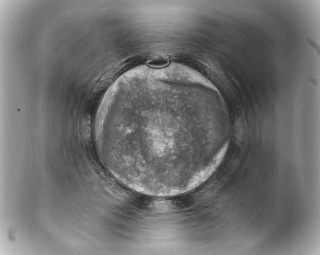 X0000101650413200807311417