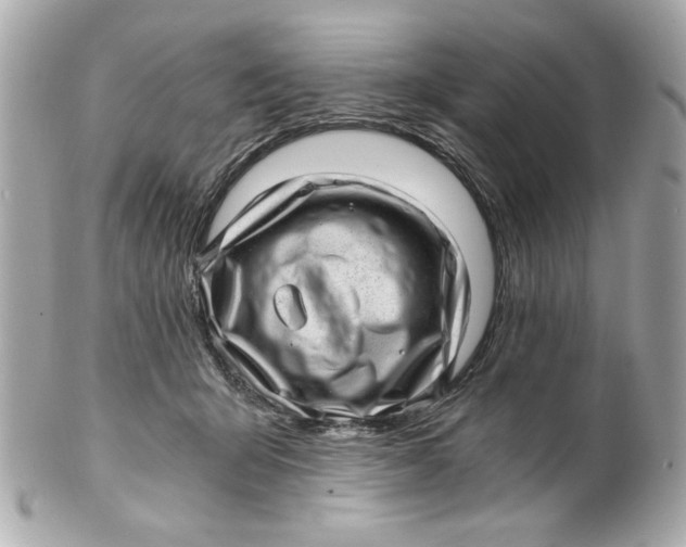 X0000101650415200807311417