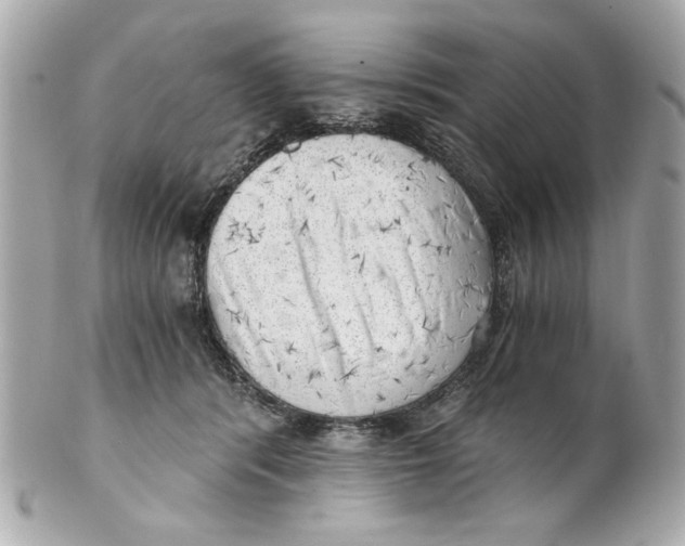 X0000101650416200807311417