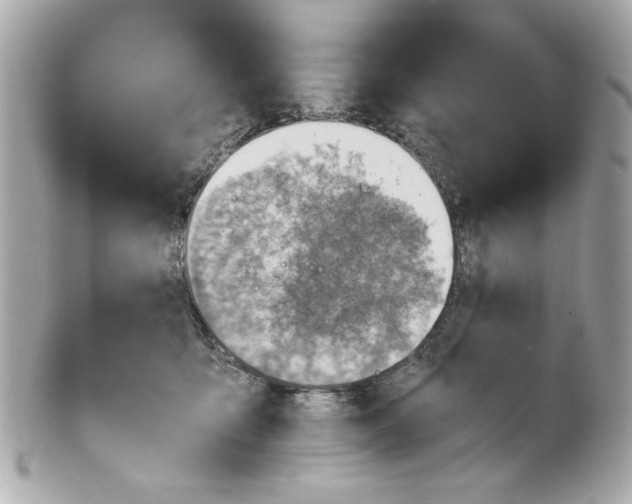 X0000101650419200807311417