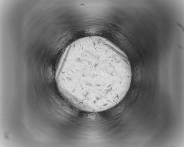 X0000101650420200807311417