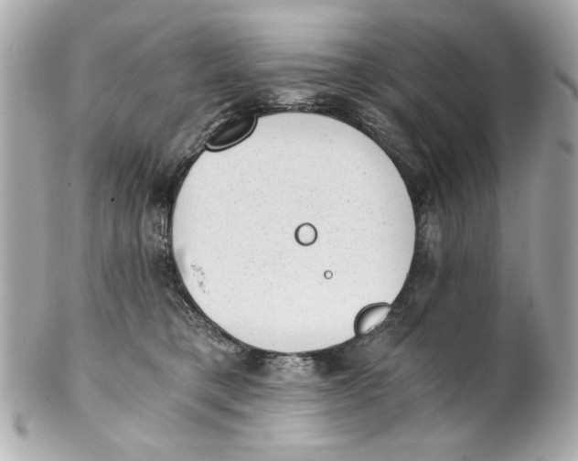 X0000101650421200807311417