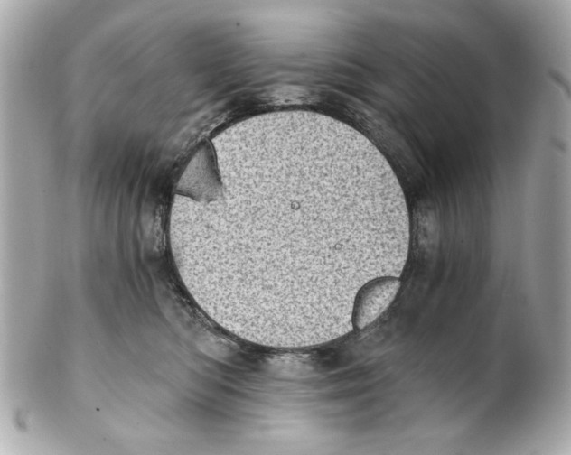 X0000101650422200807311417