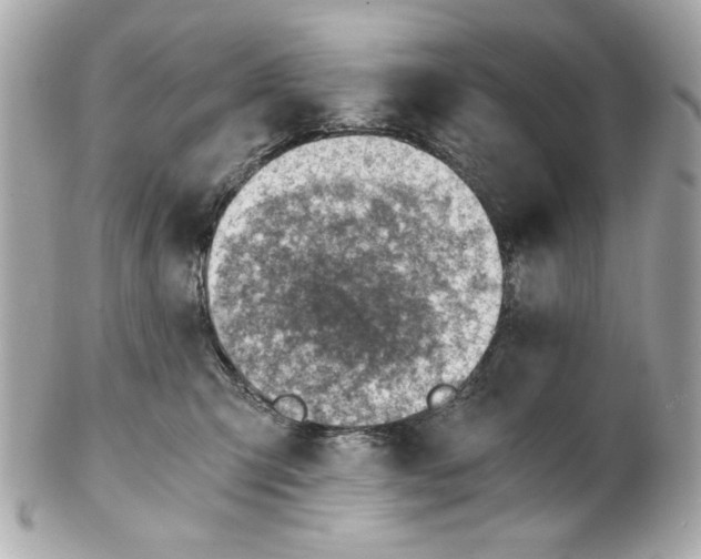 X0000101650423200807311417