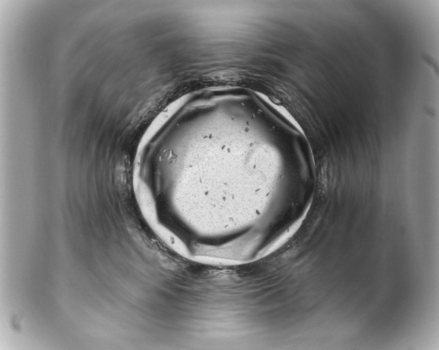 X0000101650424200807311417
