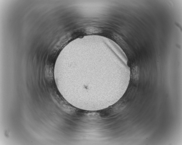 X0000101650426200807311417
